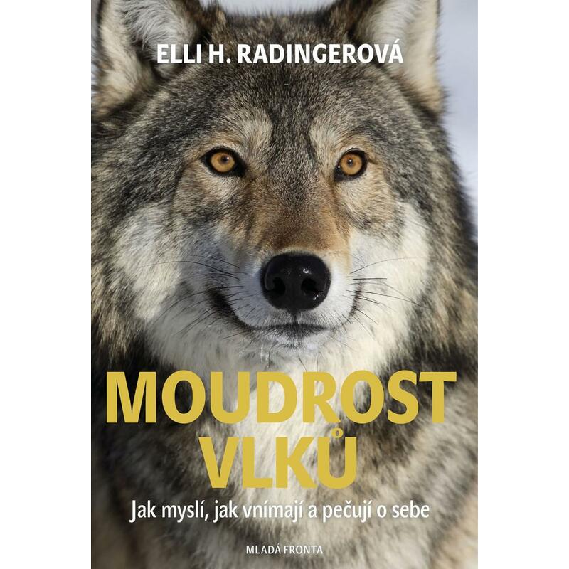Moudrost vlků - Jak myslí, jak vnímají a pečují o sebe