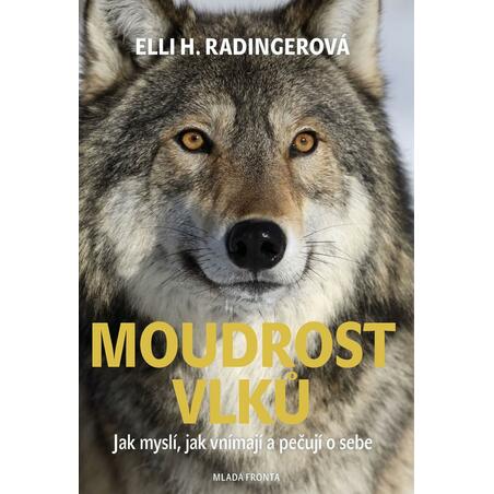 Moudrost vlků - Jak myslí, jak vnímají a pečují o sebe