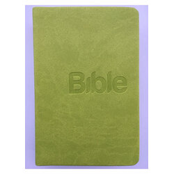 Bible, překlad 21. století...