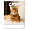 Kalendář 2023 nástěnný: Kočky, 30 × 34 cm