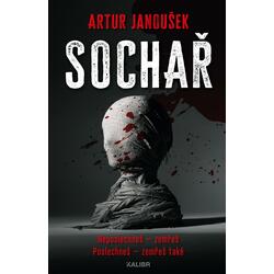 Sochař