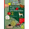 Pracovní sešit předškoláka 2, 4-6 let - Příprava dítěte na úspěšný start ve škole