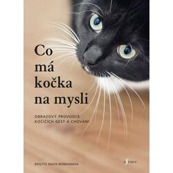 Co má kočka na mysli