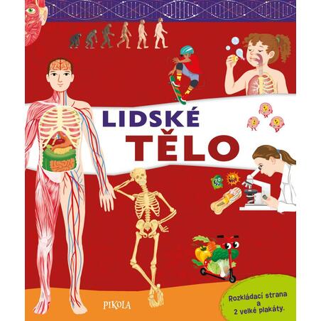 Lidské tělo