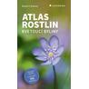 Atlas rostlin - Kvetoucí byliny