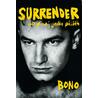 Surrender - 40 písní, jeden příběh