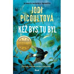 Kéž bys tu byl