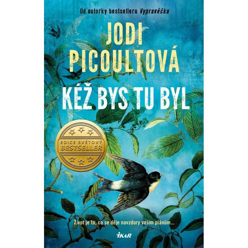 Kéž bys tu byl