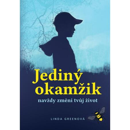 Jediný okamžik navždy změní tvůj život