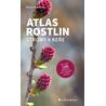 Atlas rostlin - Stromy a keře