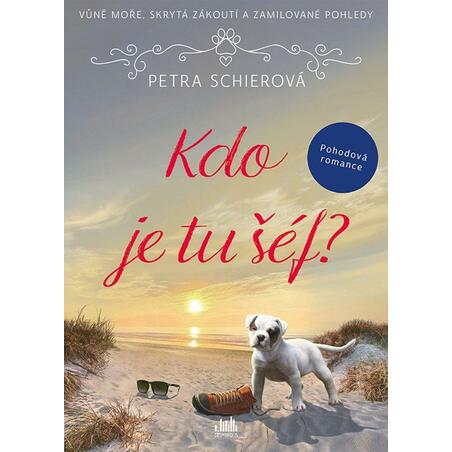 Kdo je tu šéf?