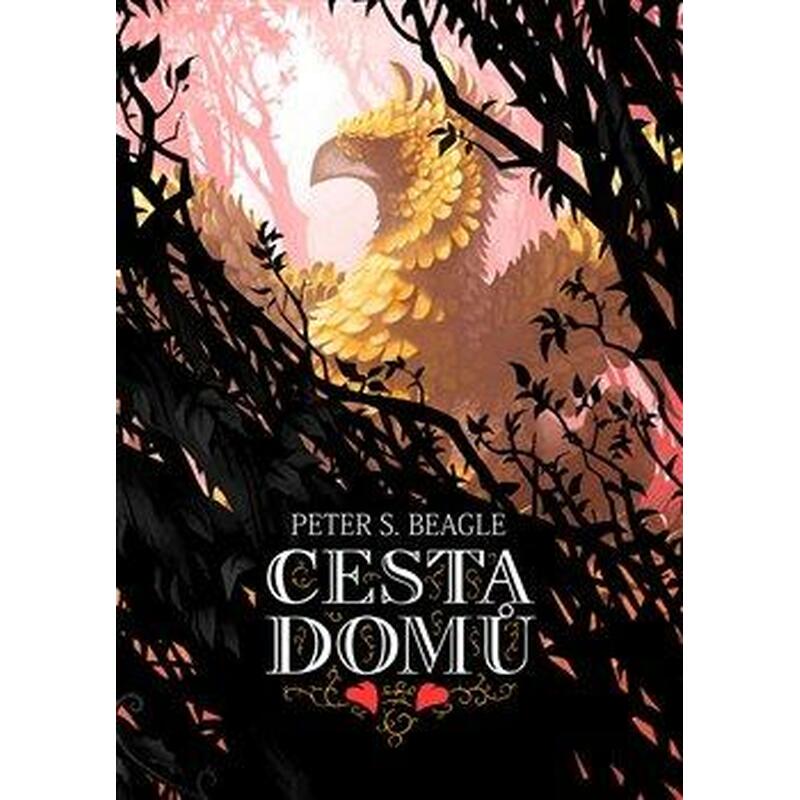 Cesta domů