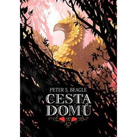 Cesta domů