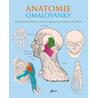 Anatomie omalovánky