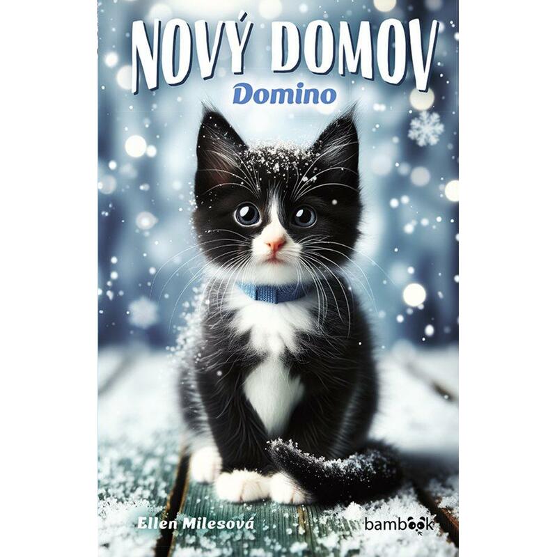 Nový domov – Domino