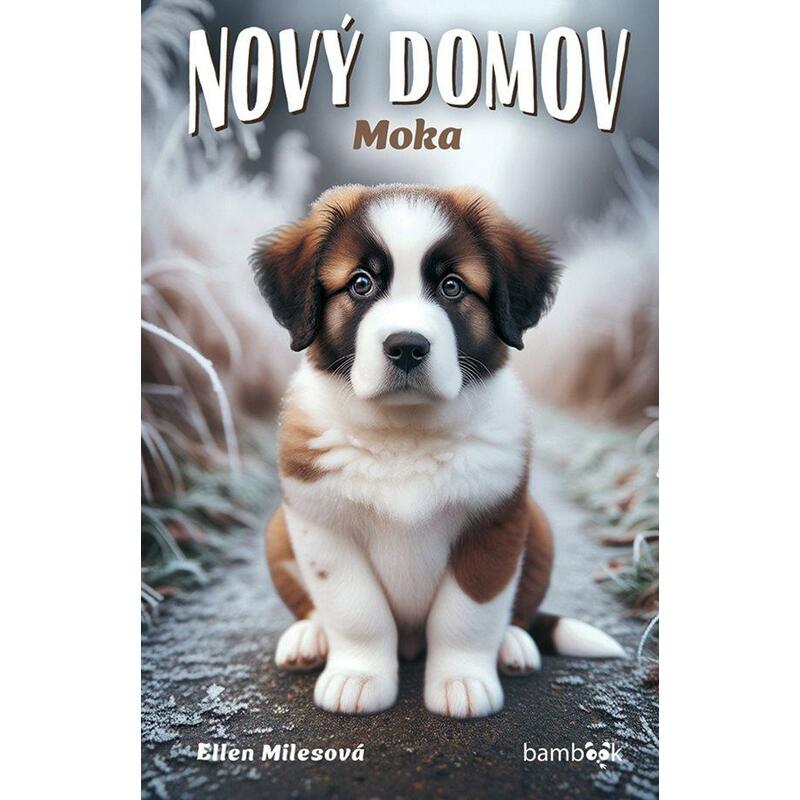 Nový domov – Moka