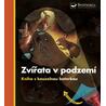 Zvířata v podzemí - Kniha s kouzelnou baterkou