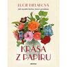 Krása z papíru - Jak vyrobit kytice, které nevadnou