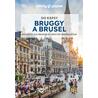 Bruggy a Brusel do kapsy - Lonely Planet