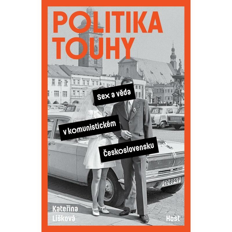Politika touhy