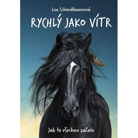 Rychlý jako vítr - Jak to všechno začalo