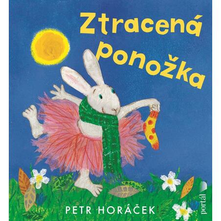 Ztracená ponožka