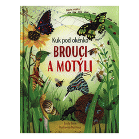Brouci a motýli - kuk pod okénko