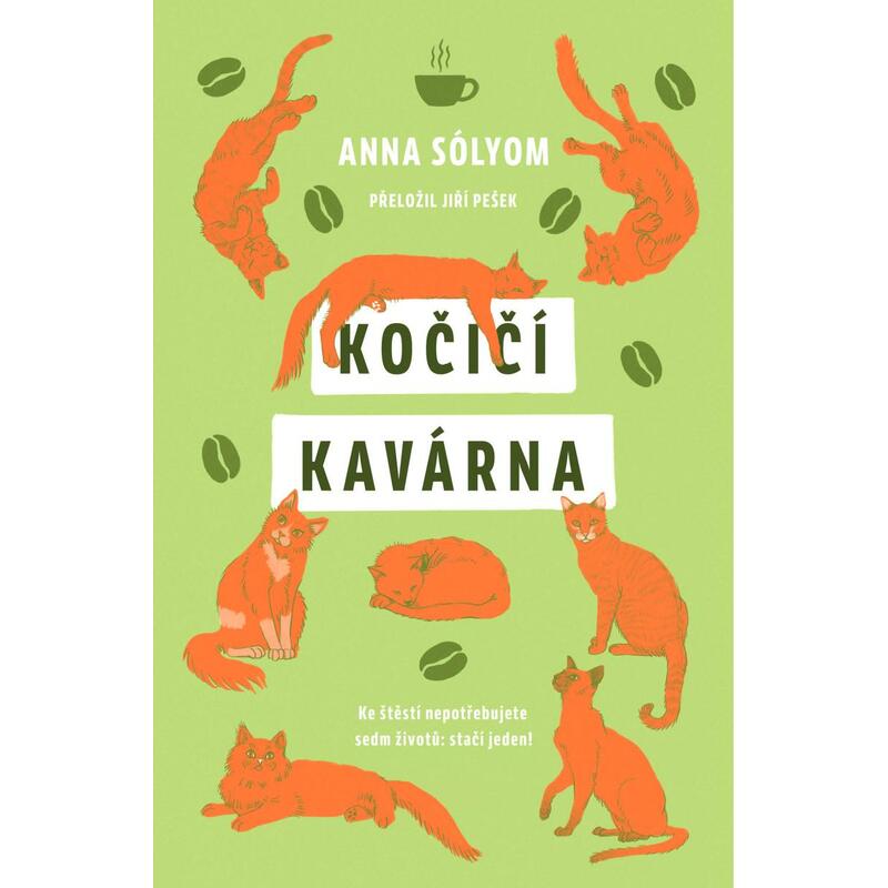 Kočičí kavárna