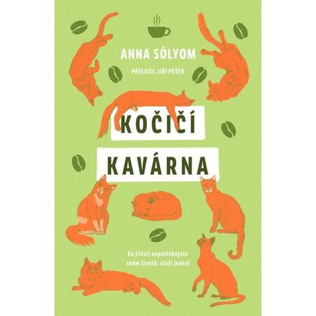 Kočičí kavárna