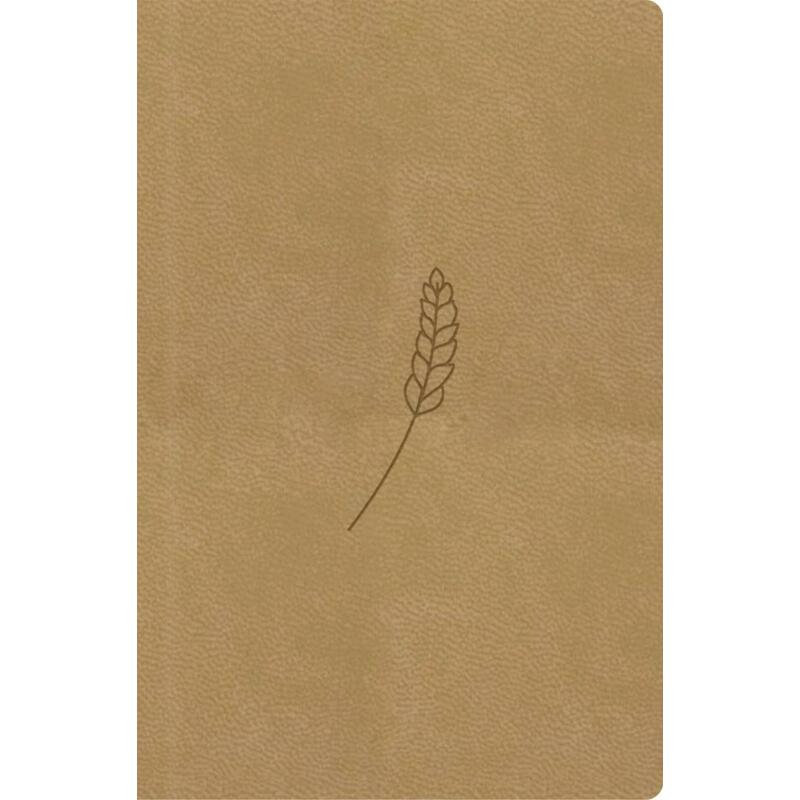 Bible, překlad 21. století (medová) - kapesní