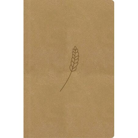 Bible, překlad 21. století (medová) - kapesní