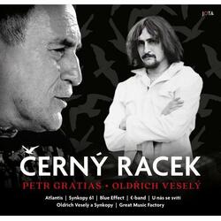 Černý racek