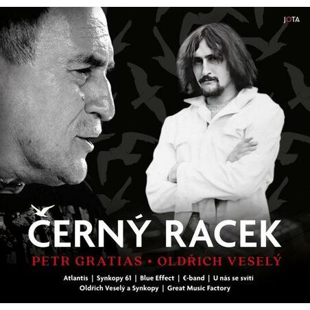 Černý racek