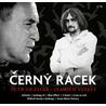Černý racek
