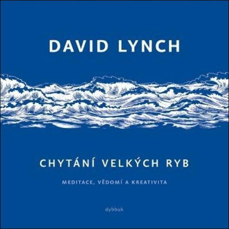 Chytání velkých ryb - Meditace, vědomí a kreativita