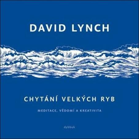 Chytání velkých ryb - Meditace, vědomí a kreativita