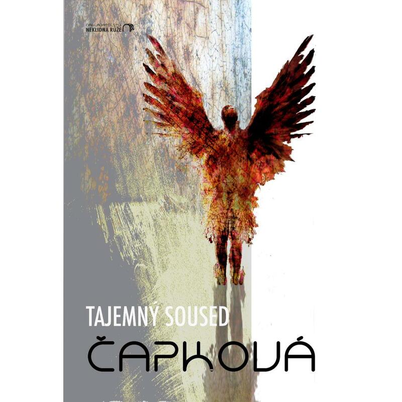 Tajemný soused