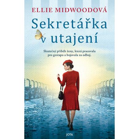 Sekretářka v utajení