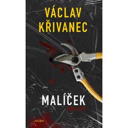 Malíček