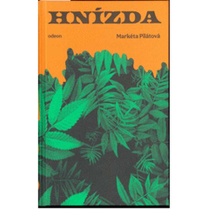 Hnízda