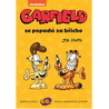 Garfield 66: Garfield se popadá za břicho
