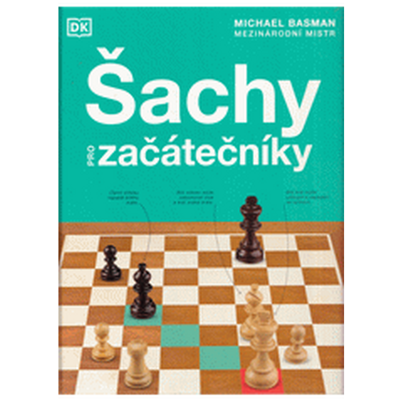 Šachy pro začátečníky