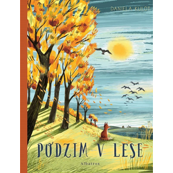 Podzim v lese