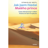 Jak jsem hledal Malého prince