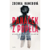 Panáček z popela
