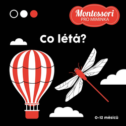 Kontrastní leporelo: Co létá?