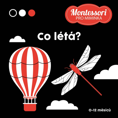 Kontrastní leporelo: Co létá?