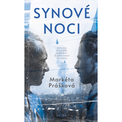 Synové noci