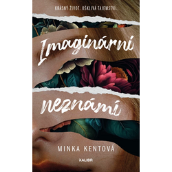 Imaginární neznámí