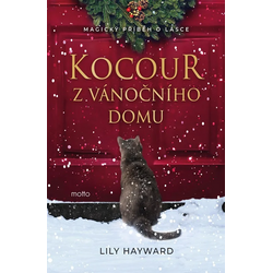 Kocour z vánočního domu